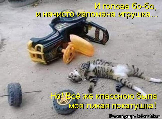 kotomatritsa_T (650x479, 213Kb)