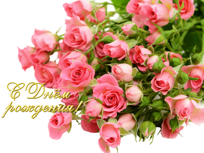Pink-roses-flowers-bouquet-white-background_2560x1920 (700x525, 149Kb)