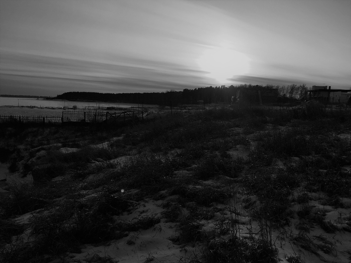IMG_3399 (700x525, 183Kb)