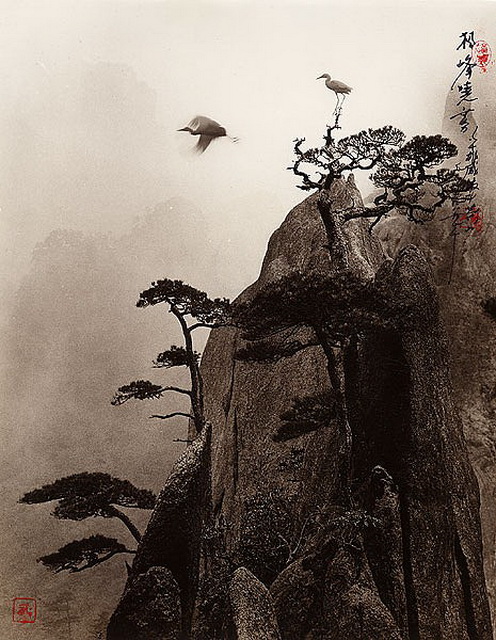 Автор фото Don Hong-Oai. (496x640, 150Kb)