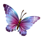 Butterfly 5 (150x133, 23Kb)