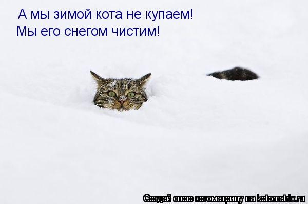 853695 (600x399, 73Kb)