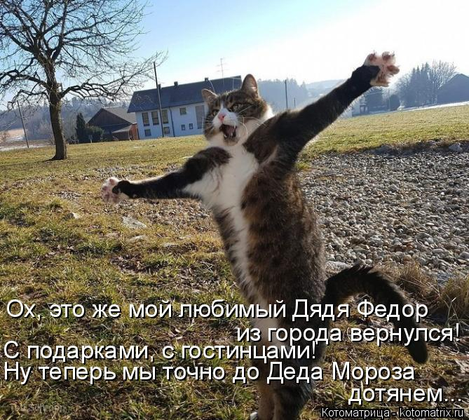 kotomatritsa_Bt (669x599, 385Kb)
