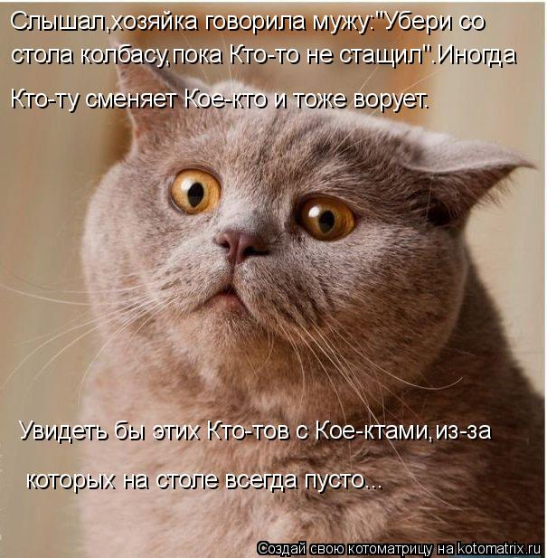 kotomatritsa_R (1) (605x617, 284Kb)
