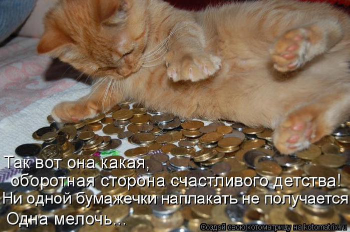 kotomatritsa_w (700x464, 363Kb)
