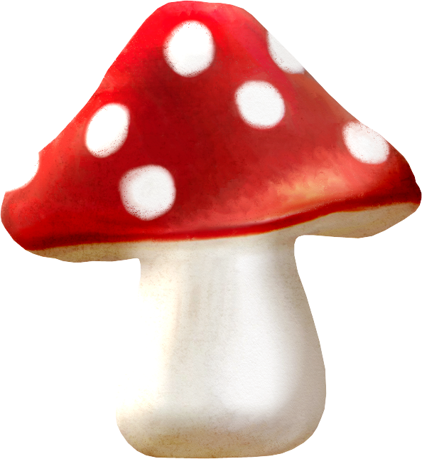 NLD Mushroom (594x645, 375Kb)