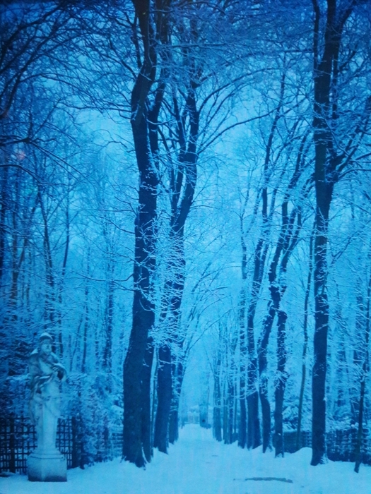 2384045_20191220_180849 (525x700, 340Kb)