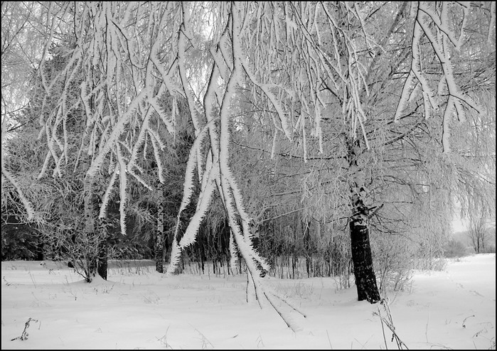 5152557_714756_39 (700x494, 154Kb)