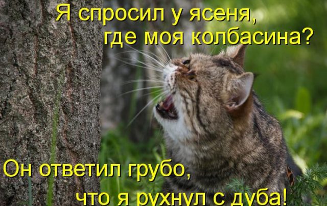 5402287_211640x403 (640x403, 69Kb)