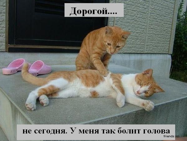 5402287_original (600x451, 47Kb)