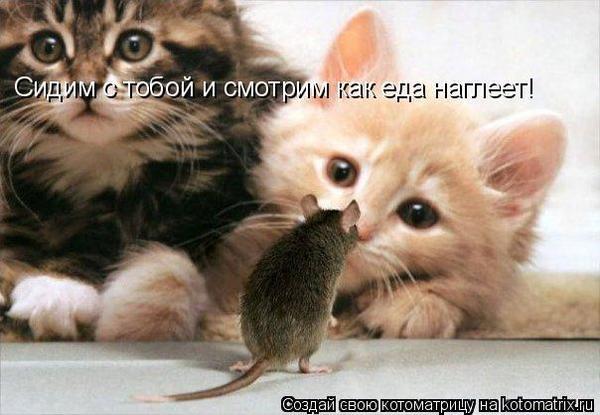 5402287_18574078 (600x415, 40Kb)