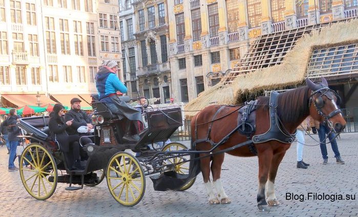 Катание на лошадиных упряжках в центре Брюсселя.