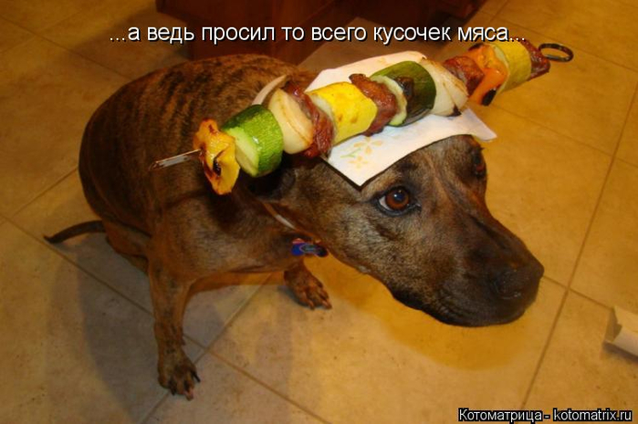kotomatritsa_C (700x465, 293Kb)