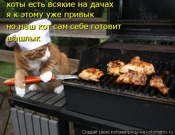 kotomatritsa_Fi (600x464, 196Kb)