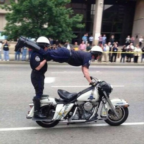 1579680451_policejskie-budni-2 (500x500, 148Kb)