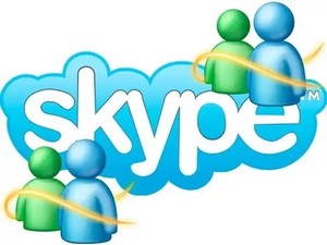 skype (300x225, 18Kb)