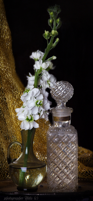 IMG_8741_edit2 (324x700, 266Kb)