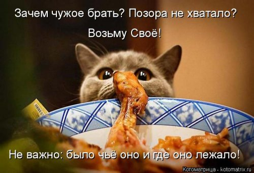 1580490027_kotomatricy-4 (500x340, 138Kb)