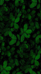  1 (393x700, 347Kb)