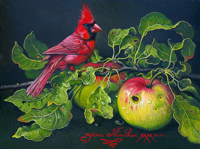 Cardinal with Apples (2) (700x521, 573Kb)