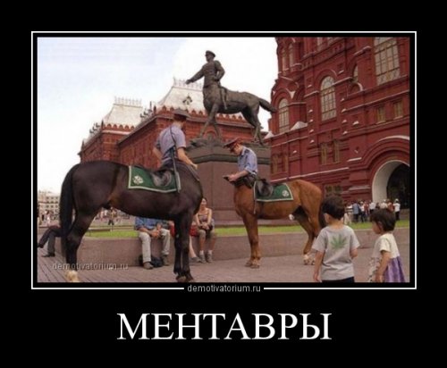 fullsizeWZHROJ3B (500x412, 37Kb)