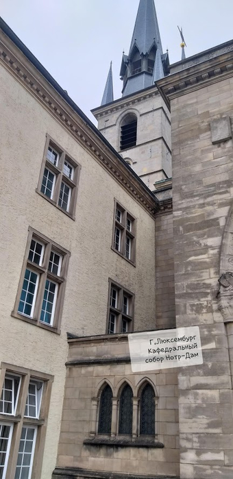 20190715_170819 (340x700, 220Kb)