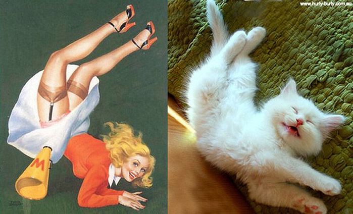 http_ catsthatlooklikepinupgirls.tumblr.com _717492 (700x424, 327Kb)