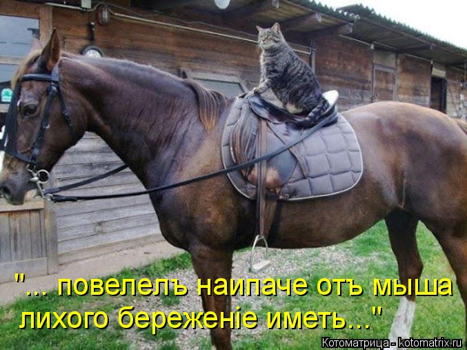 kotomatritsa_s (677x507, 282Kb)
