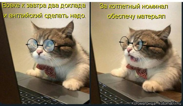 kotomatritsa_W (700x406, 276Kb)
