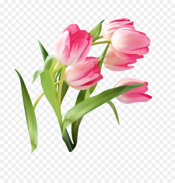   (670x700, 103Kb)