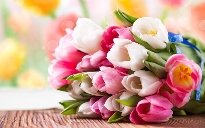 beautiful-tulip-flowers (700x437, 130Kb)