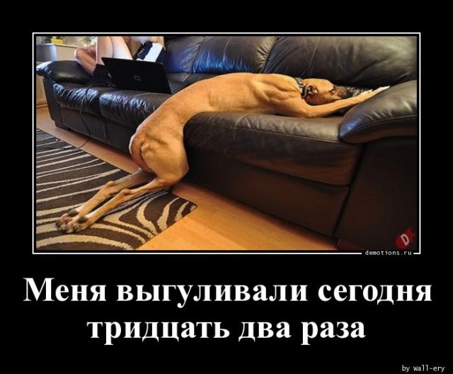 fullsizeACD3L5J2 (640x528, 56Kb)