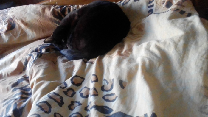 IMG_20200407_150926 (700x393, 249Kb)