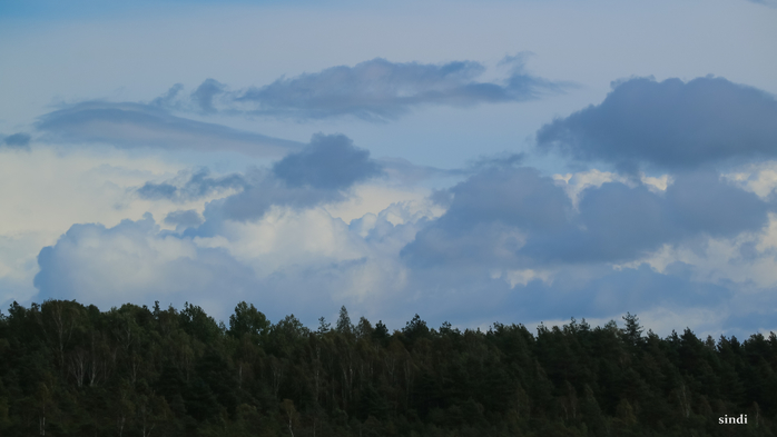 IMG_7344 (700x393, 182Kb)