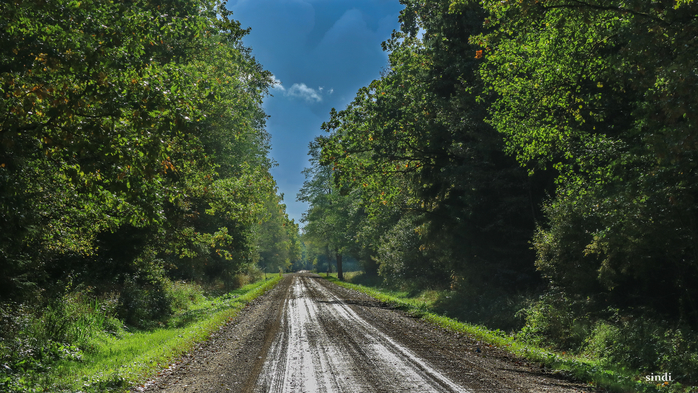 IMG_7330 (700x393, 451Kb)