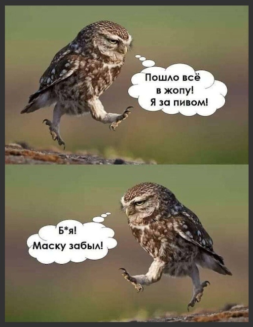 5672049_24489321 (513x661, 91Kb)
