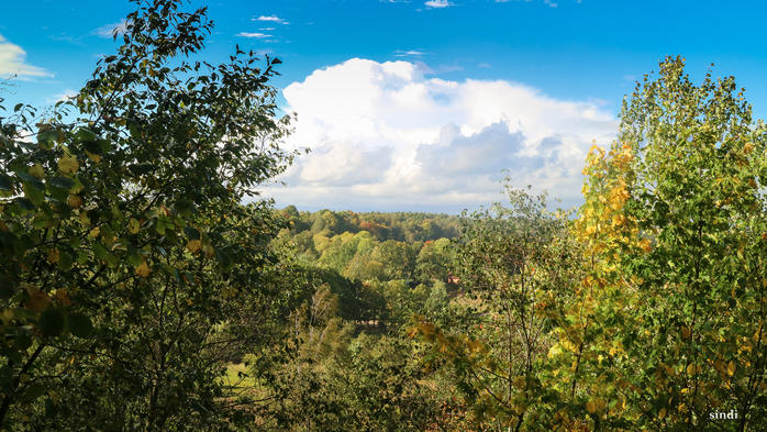 IMG_7395 (700x393, 480Kb)