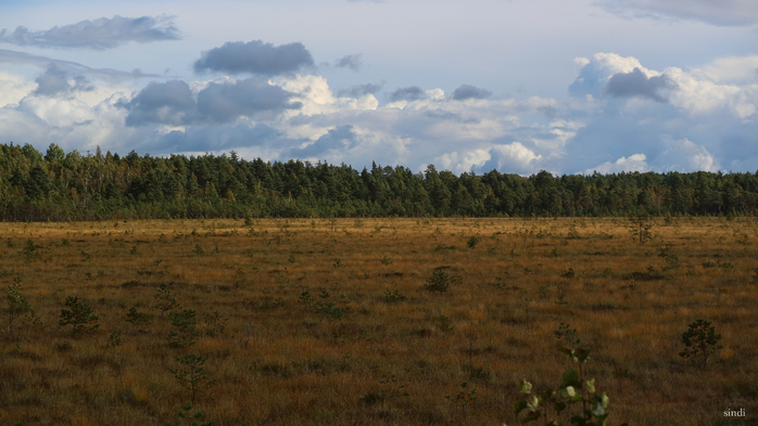 IMG_7341 (700x393, 301Kb)