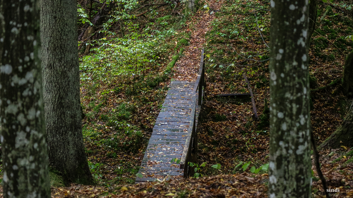 IMG_7303 (700x393, 455Kb)