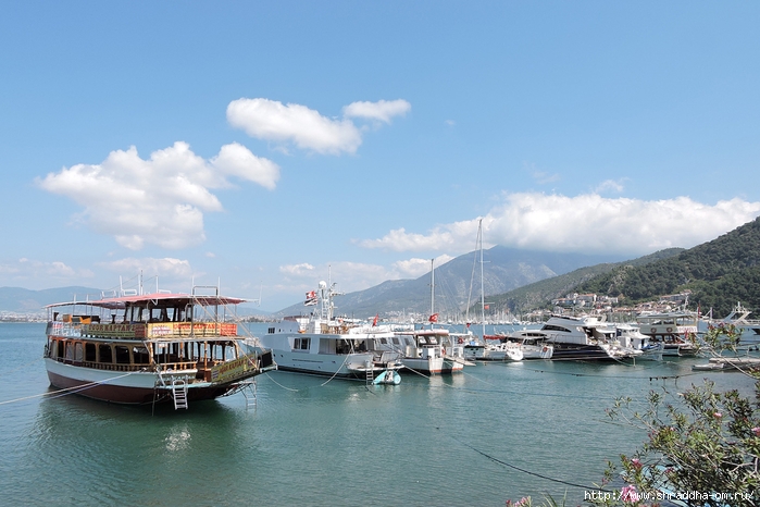 , , Fethiye, Turkey, Shraddhatravel 2020 (315) (700x466, 243Kb)