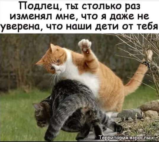 original (1) (537x482, 33Kb)