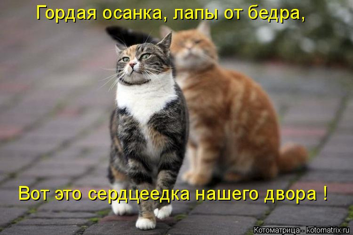 0 (700x465, 271Kb)