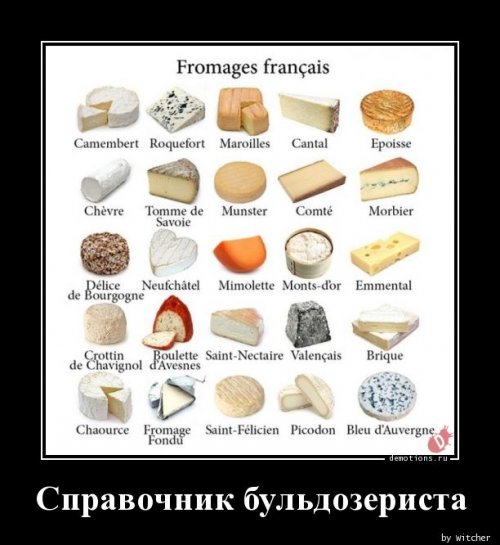 fullsize (500x545, 48Kb)