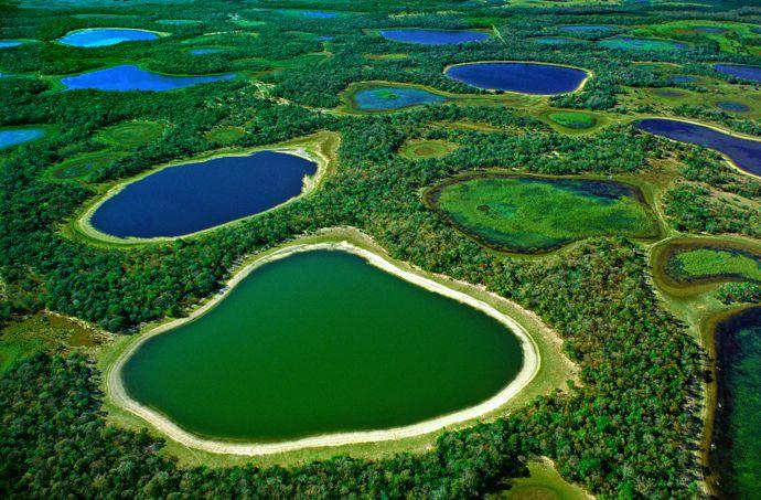 Brazil-Pantanal-001 (690x453, 435Kb)