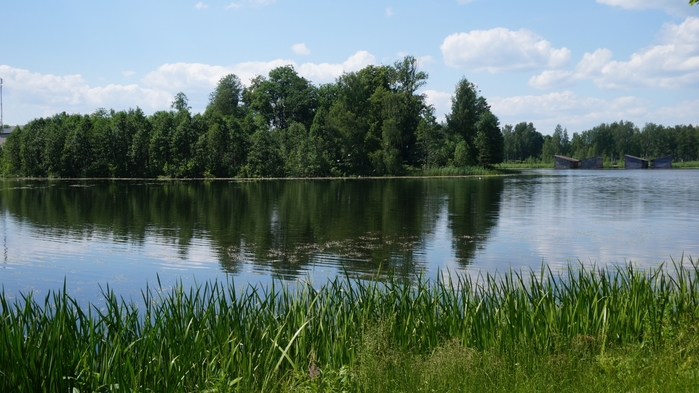 3434534_DSC08663 (700x393, 229Kb)