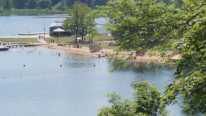 3434534_DSC08683 (700x393, 260Kb)