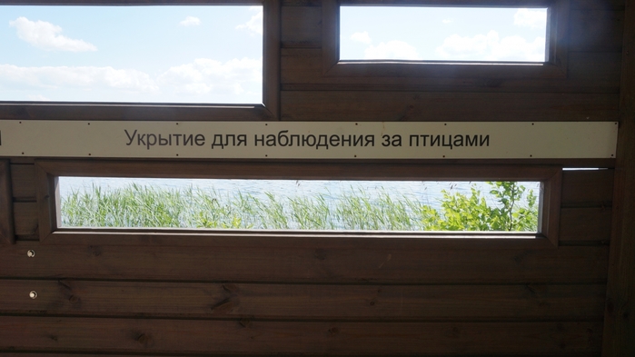 3434534_DSC08694 (700x393, 164Kb)
