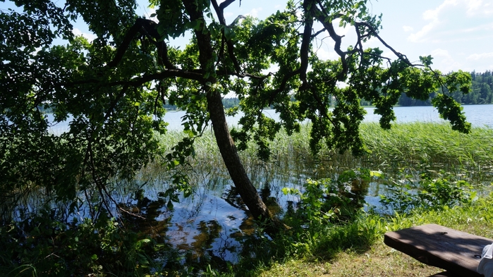 3434534_DSC08703 (700x393, 297Kb)