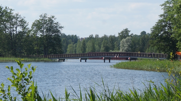 3434534_DSC08712 (700x393, 237Kb)