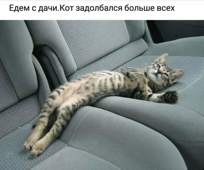 3416556_i_10_ (700x586, 87Kb)